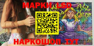 дмт Кингисепп