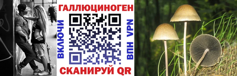 наркотики  Лосино-Петровский  Псилоцибиновые грибы MAGIC MUSHROOMS 